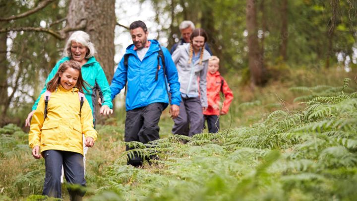 Tick bites and kids: Symptoms, prevention and when to visit urgent care