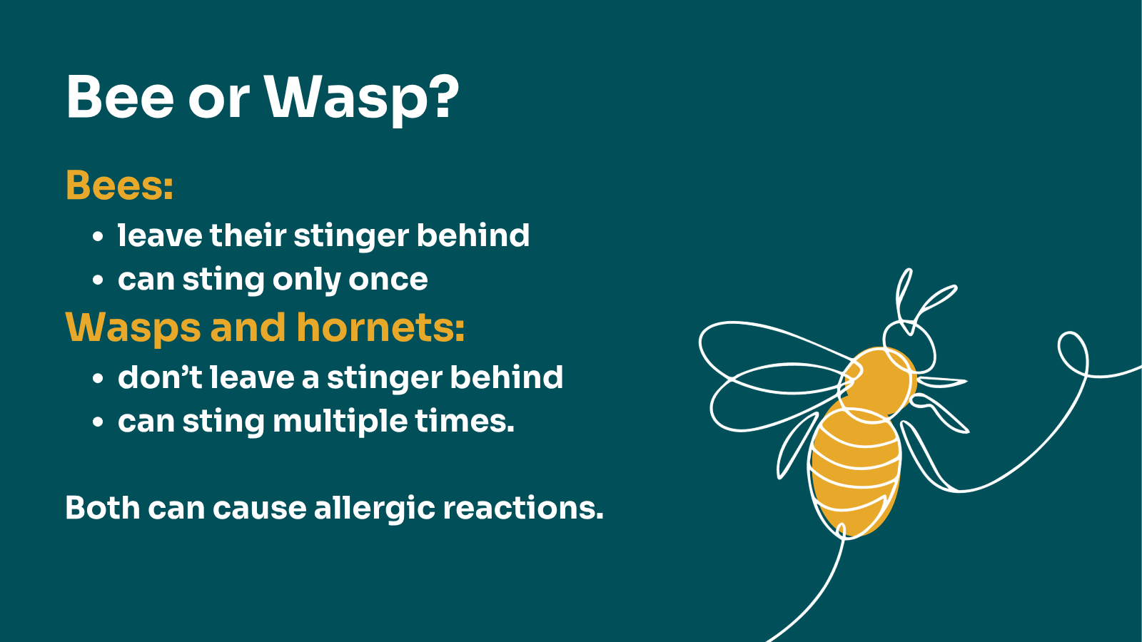 bee sting graphic