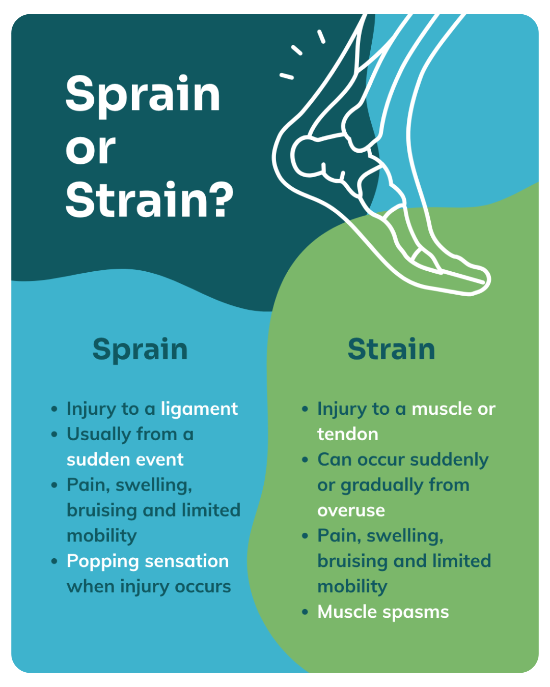 sprain vs strain graphic